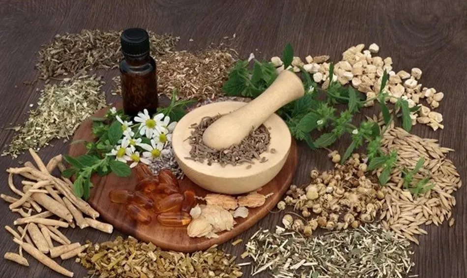 Illustration of herbal supplements promoting joint health, highlighting natural ingredients and holistic care.